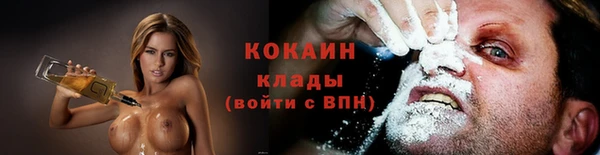 прущие грибы Волосово