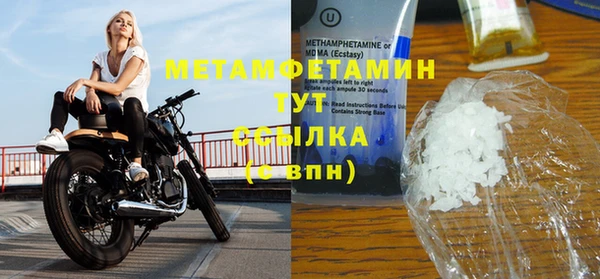 прущие грибы Волосово