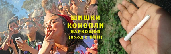 прущие грибы Волосово